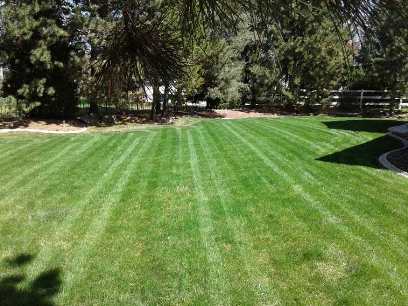 fulwyler-lawn-stripes